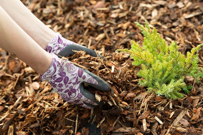 Garden Mulching