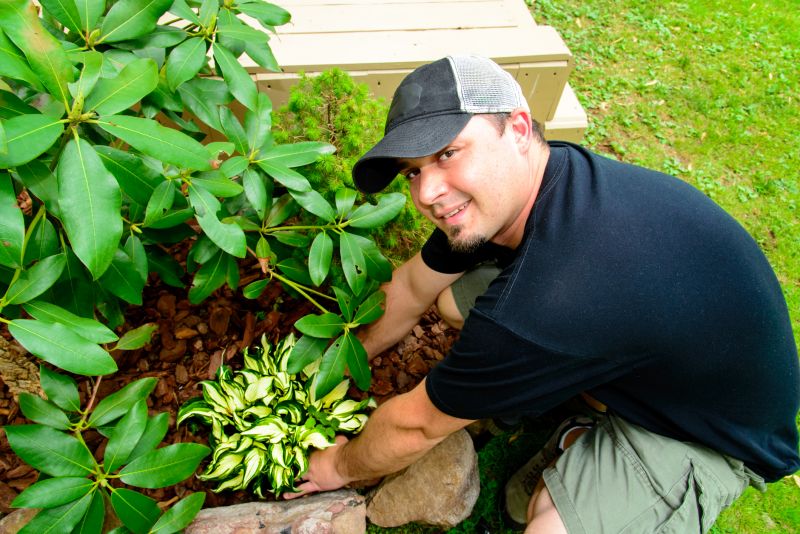 Garden Mulching
