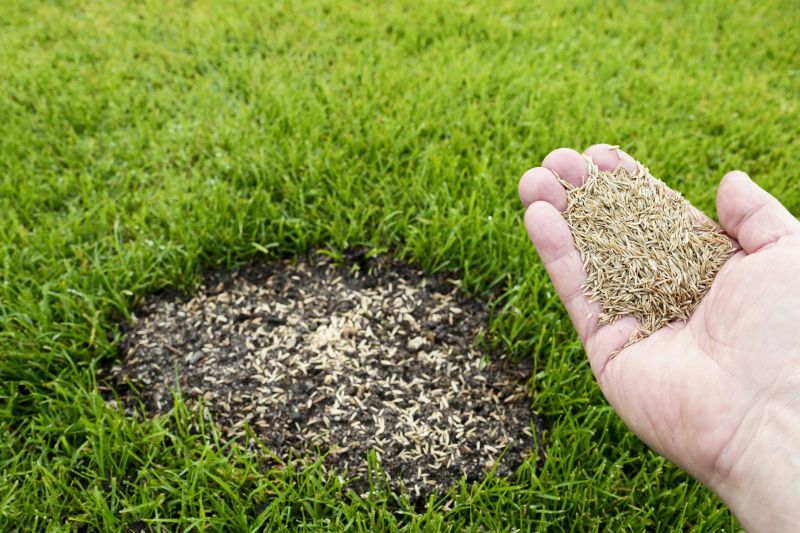 Grass Patching