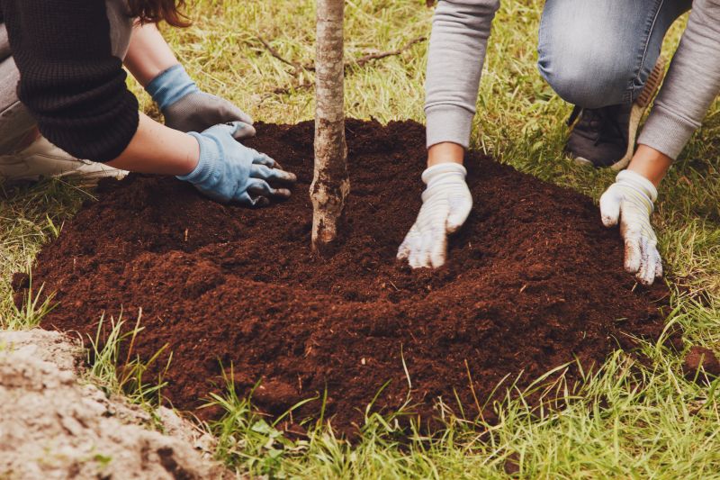 Ground Cover Planting