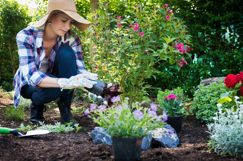 Ground Cover Planting