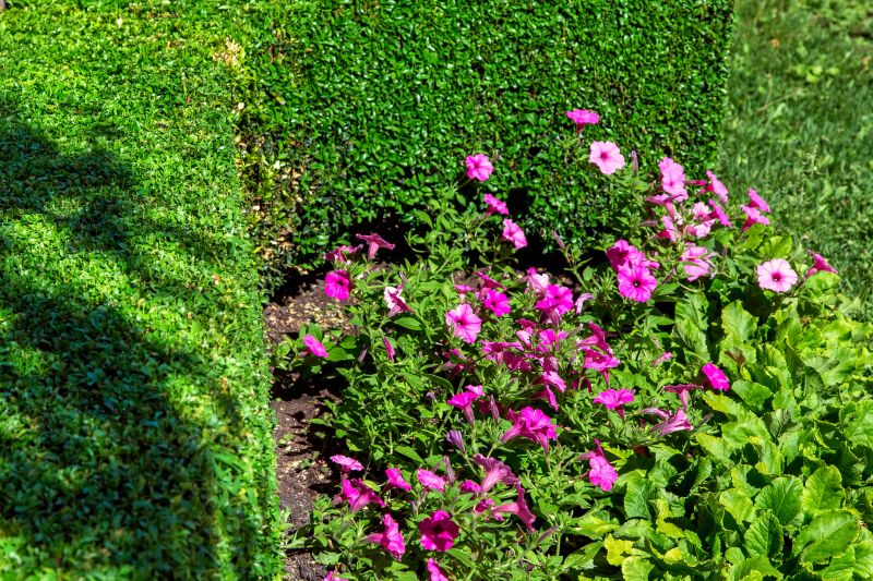 Hedge Landscaping