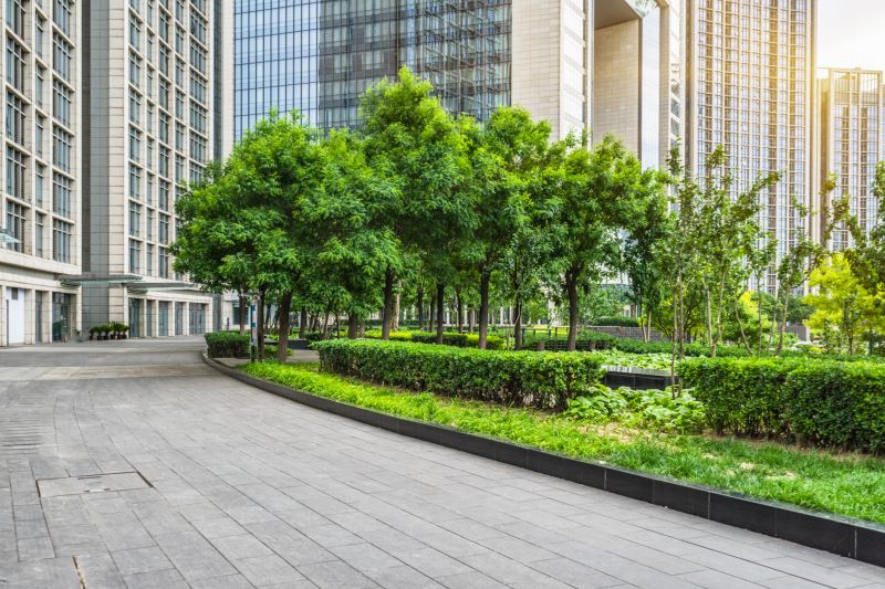 Hedge Landscaping