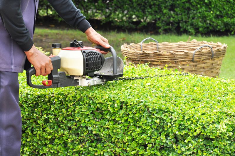 Hedge Planting