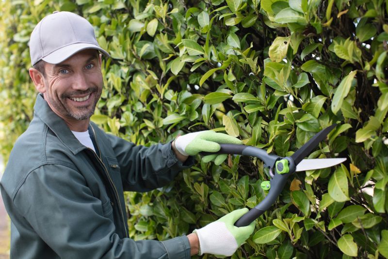 Hedge Planting