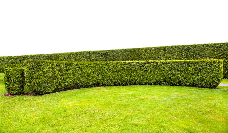 Hedge Planting