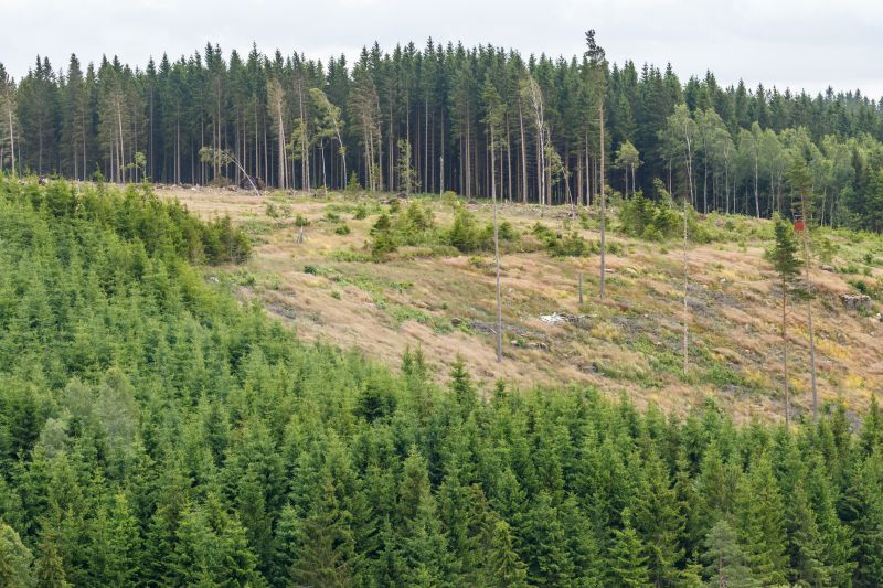 Hill Landscaping