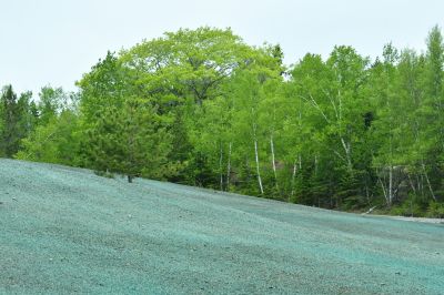 Hill Landscaping