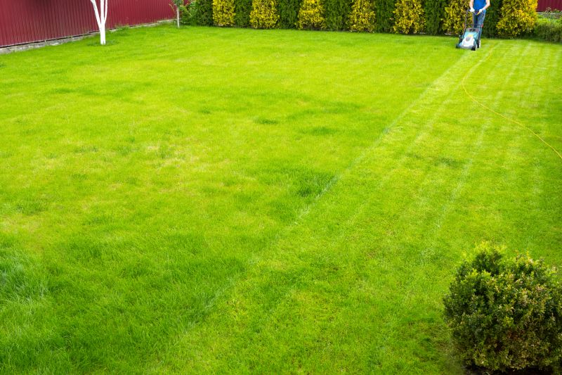 Landscape Maintenance Service
