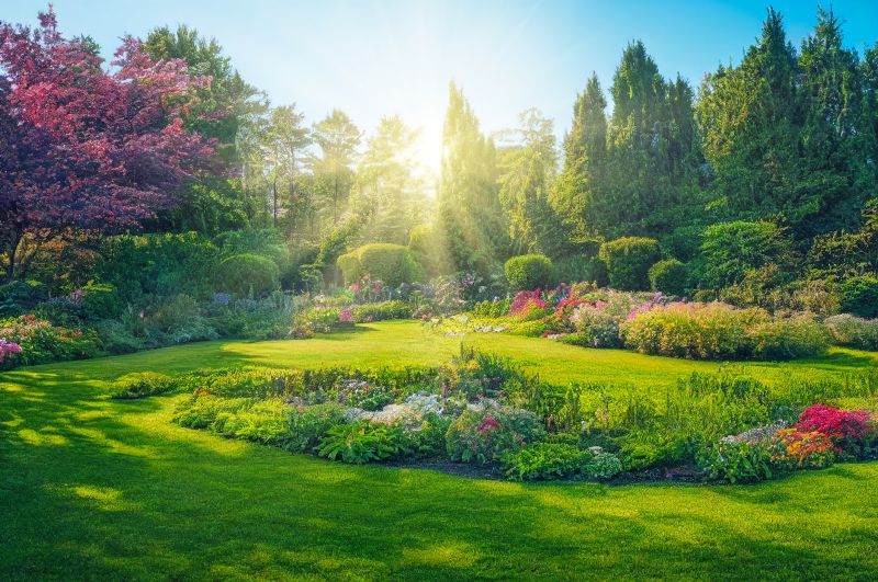 Lawn and Plantings