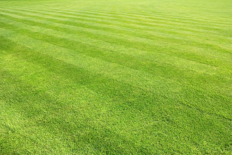 Well-Maintained Lawns