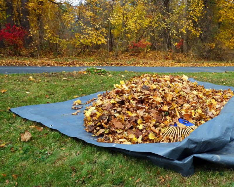 Autumn Preparation