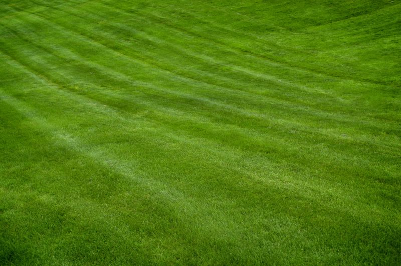 Lawn Installation