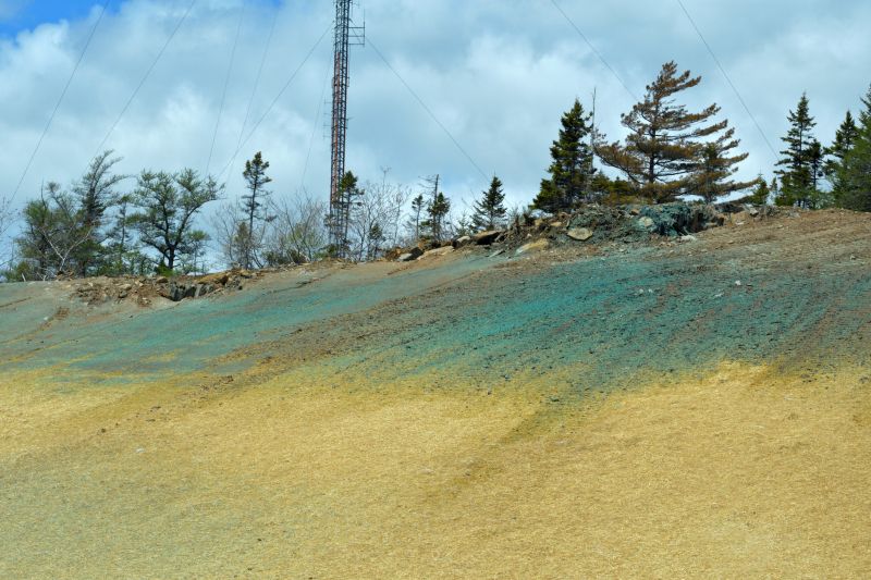 Lawn Erosion Control