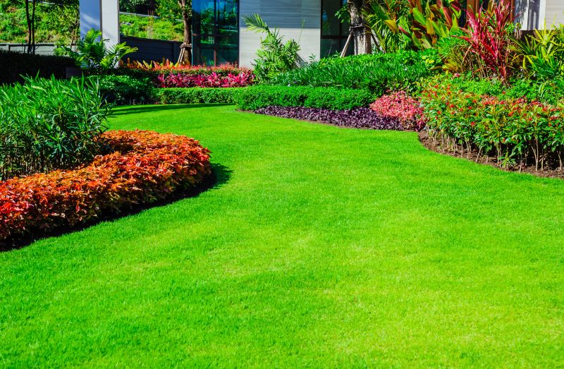 Lawn Renovation