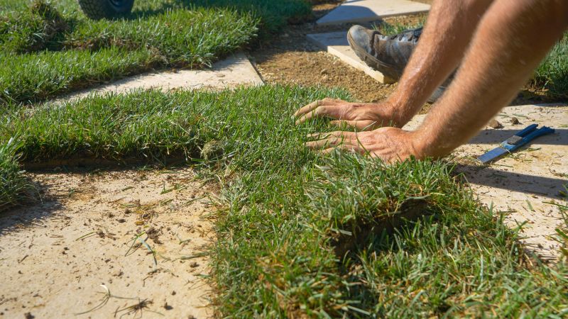 Lawn Repair Service