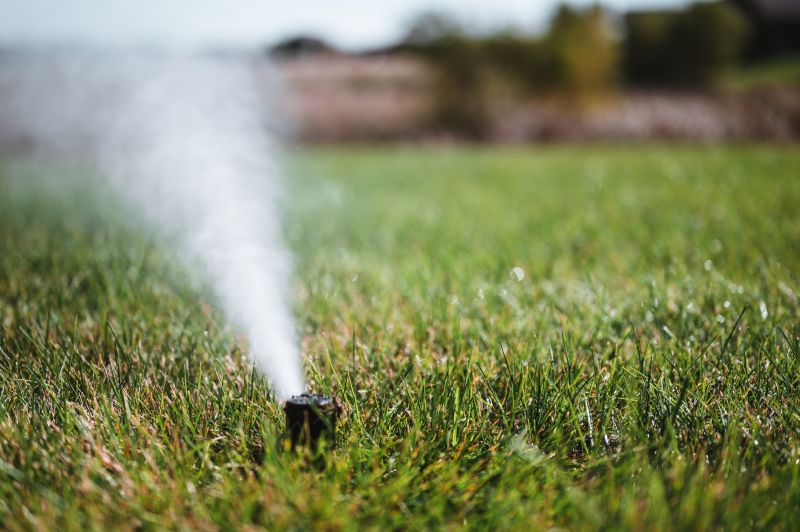 Professional sprinkler blowout