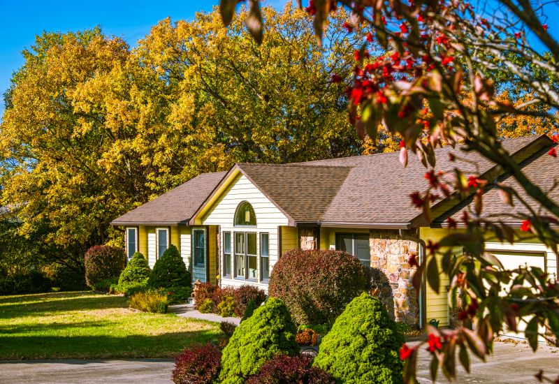 Log Home Landscaping