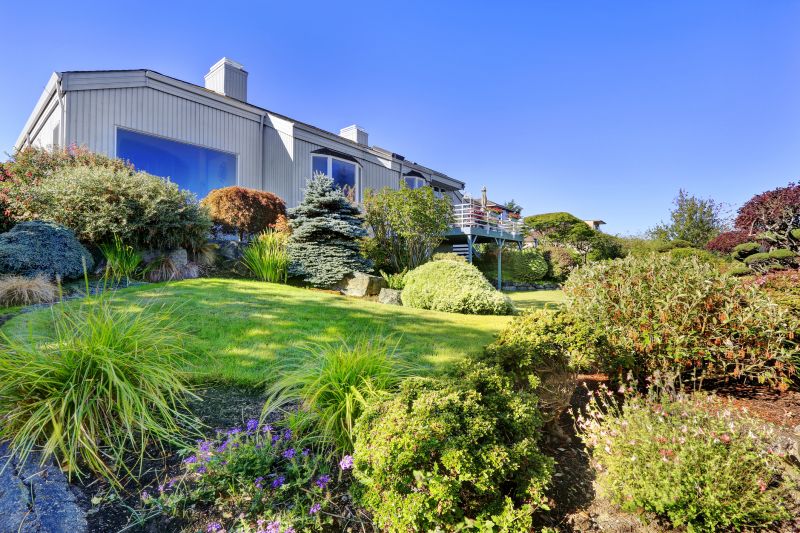 Modern Landscaping