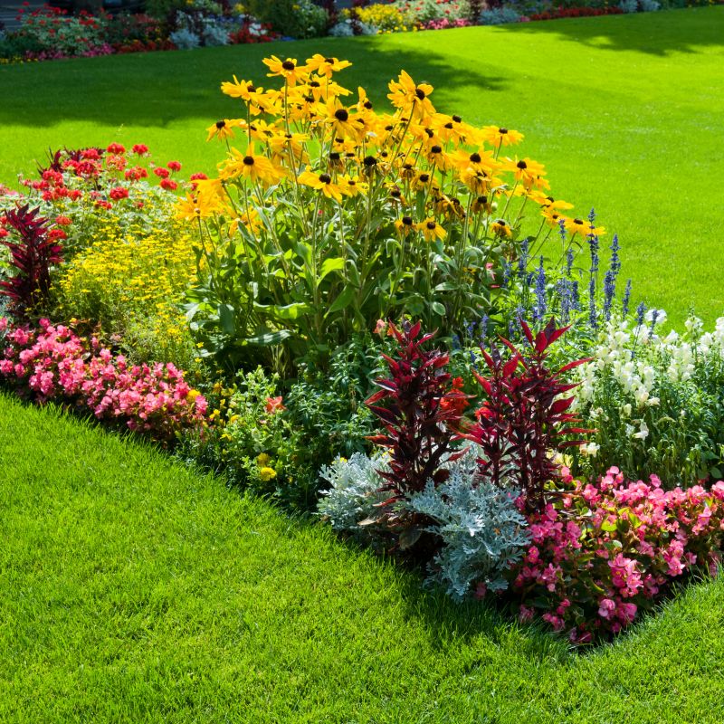Mulch Landscaping