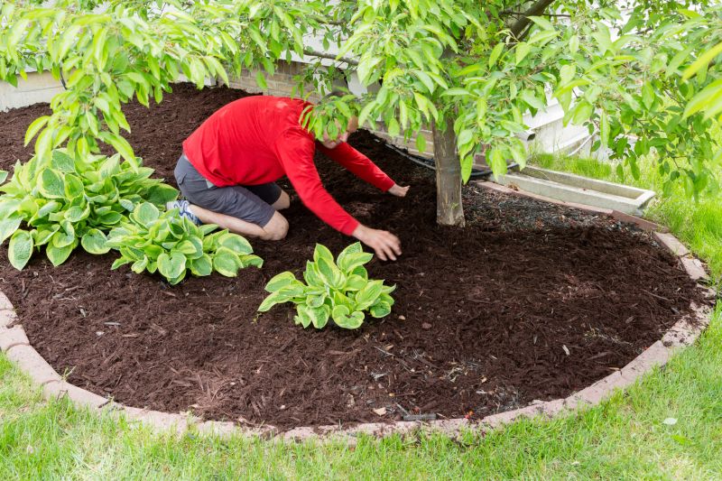 Mulch Service