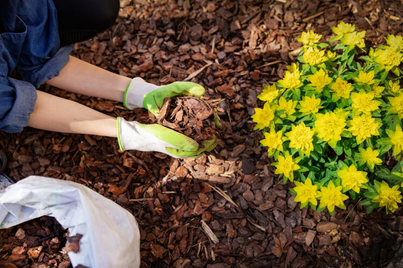 Organic Mulch Installation