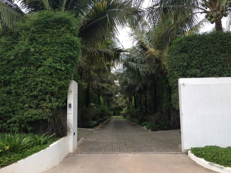 Palm Tree Landscaping