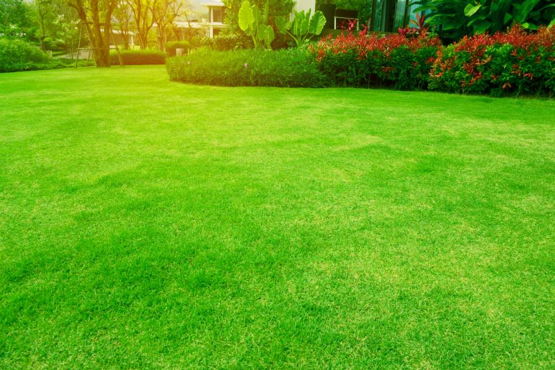 Park Landscape Maintenance