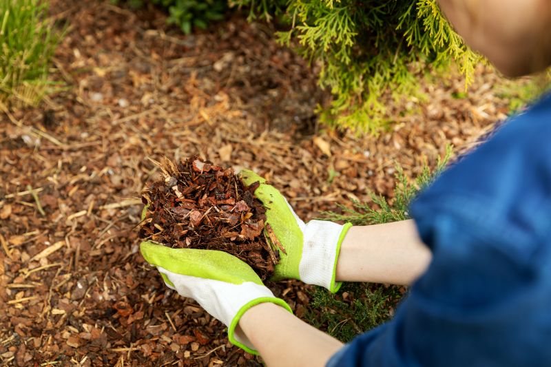 Pine Mulch Delivery