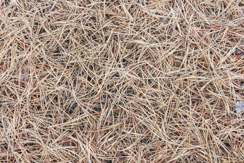 Pine Straw Spreading