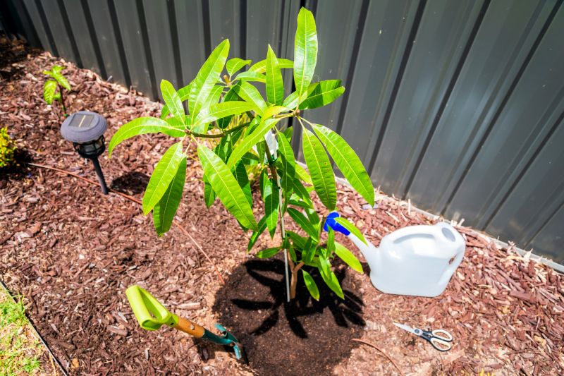 Plant Bed Mulching