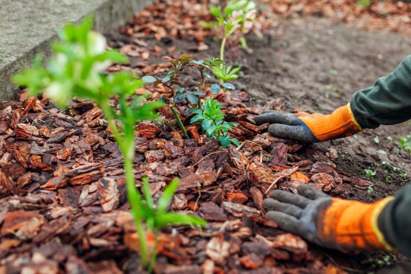 Plant Bed Mulching