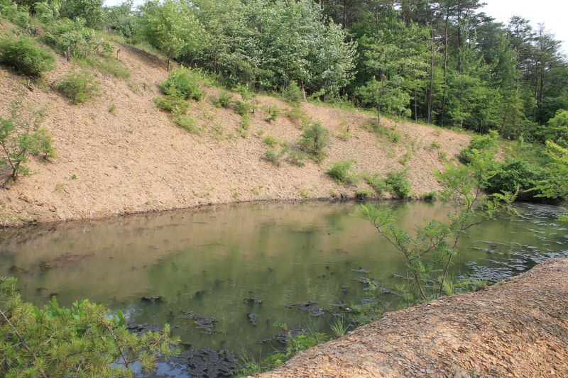 Pond Landscaping Service