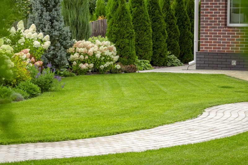 Privacy Landscaping