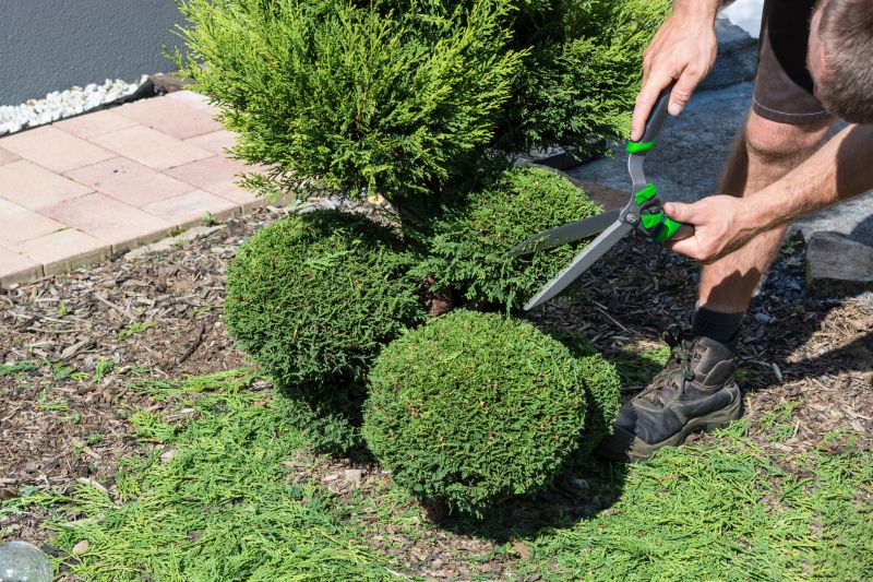 Shrub Installation