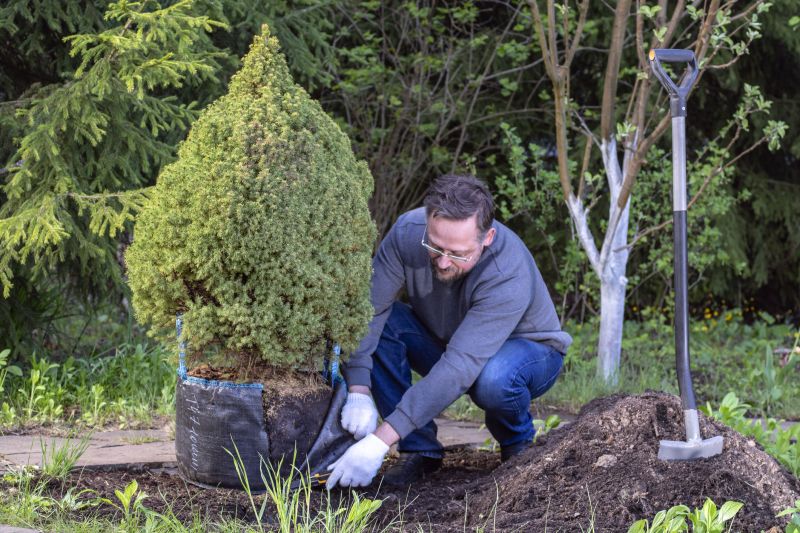 Shrubbery Planting