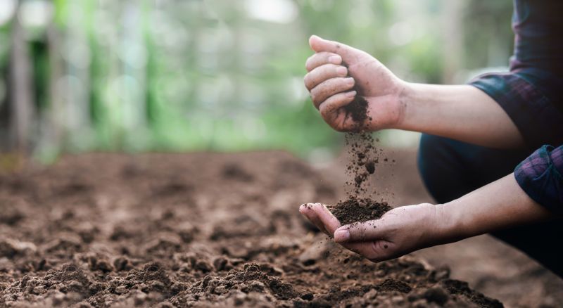 Soil Erosion Repair