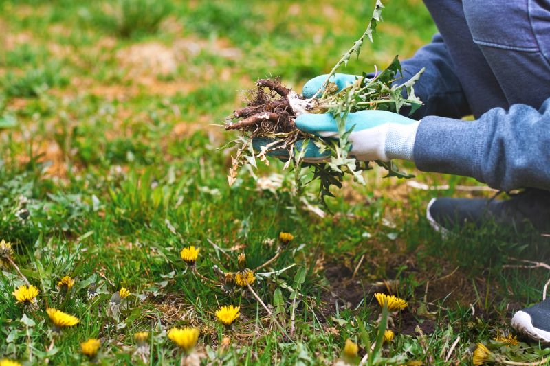 Spring Garden Maintenance