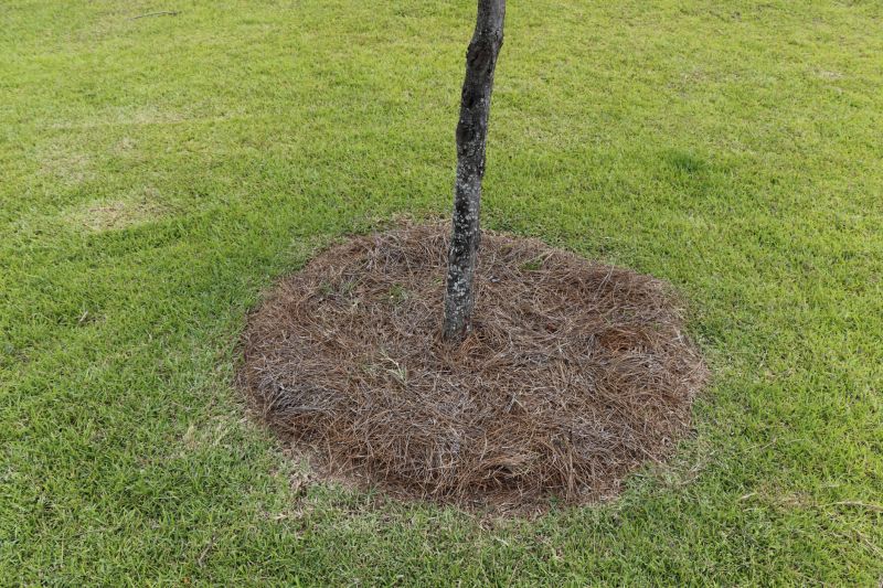 Straw Mulching Service