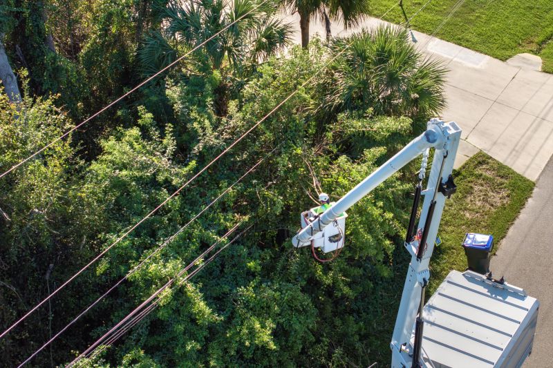 Tree Curbing Installation