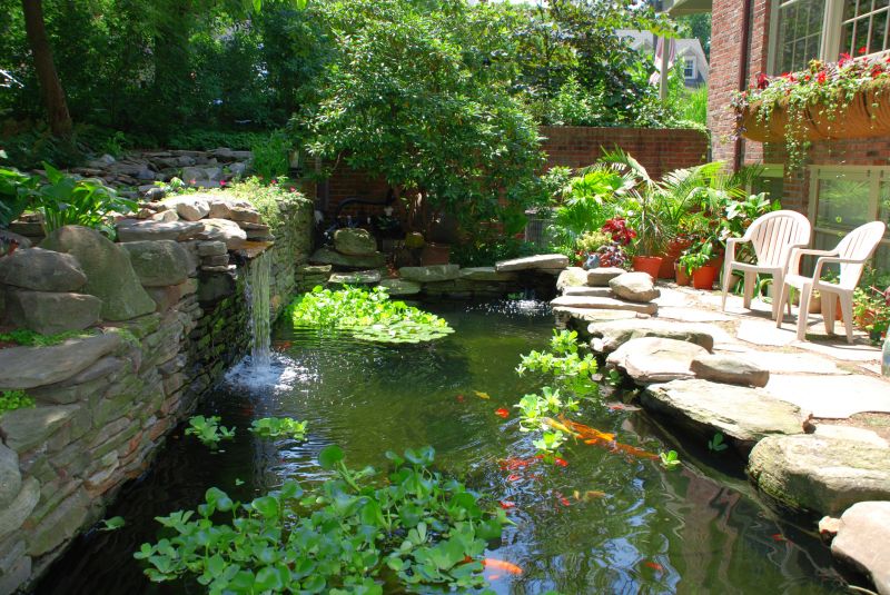 Water Garden Construction