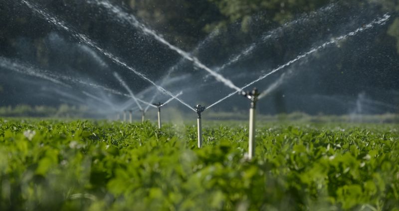 Irrigation System Installers