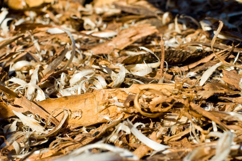 Wood Chips Spreading