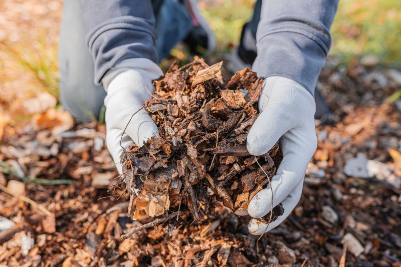 Wood Mulch Installation