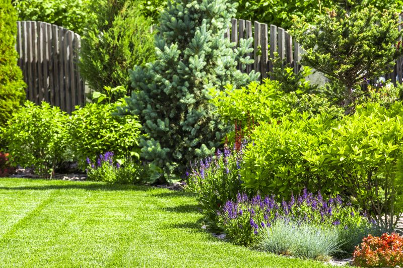 Yard Xeriscaping
