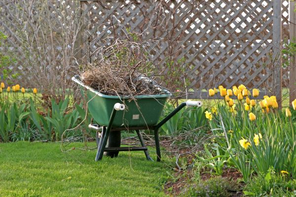 Flower Bed Cleanup Service in Des Moines