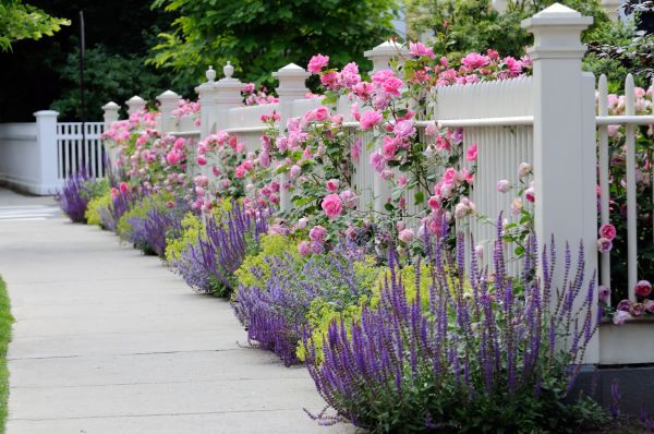 Garden Handyman Service in Des Moines