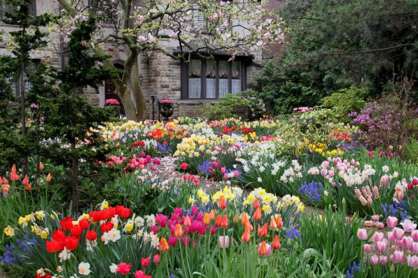 Garden Maintenance Service in Des Moines