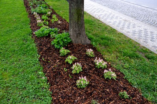Mulch Replacement Service in Des Moines