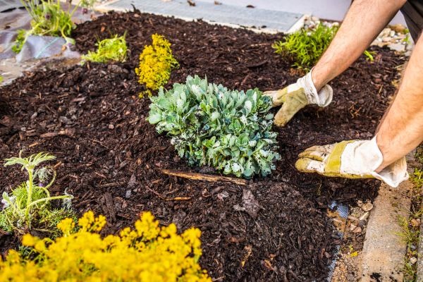 Weeding And Mulching in Des Moines